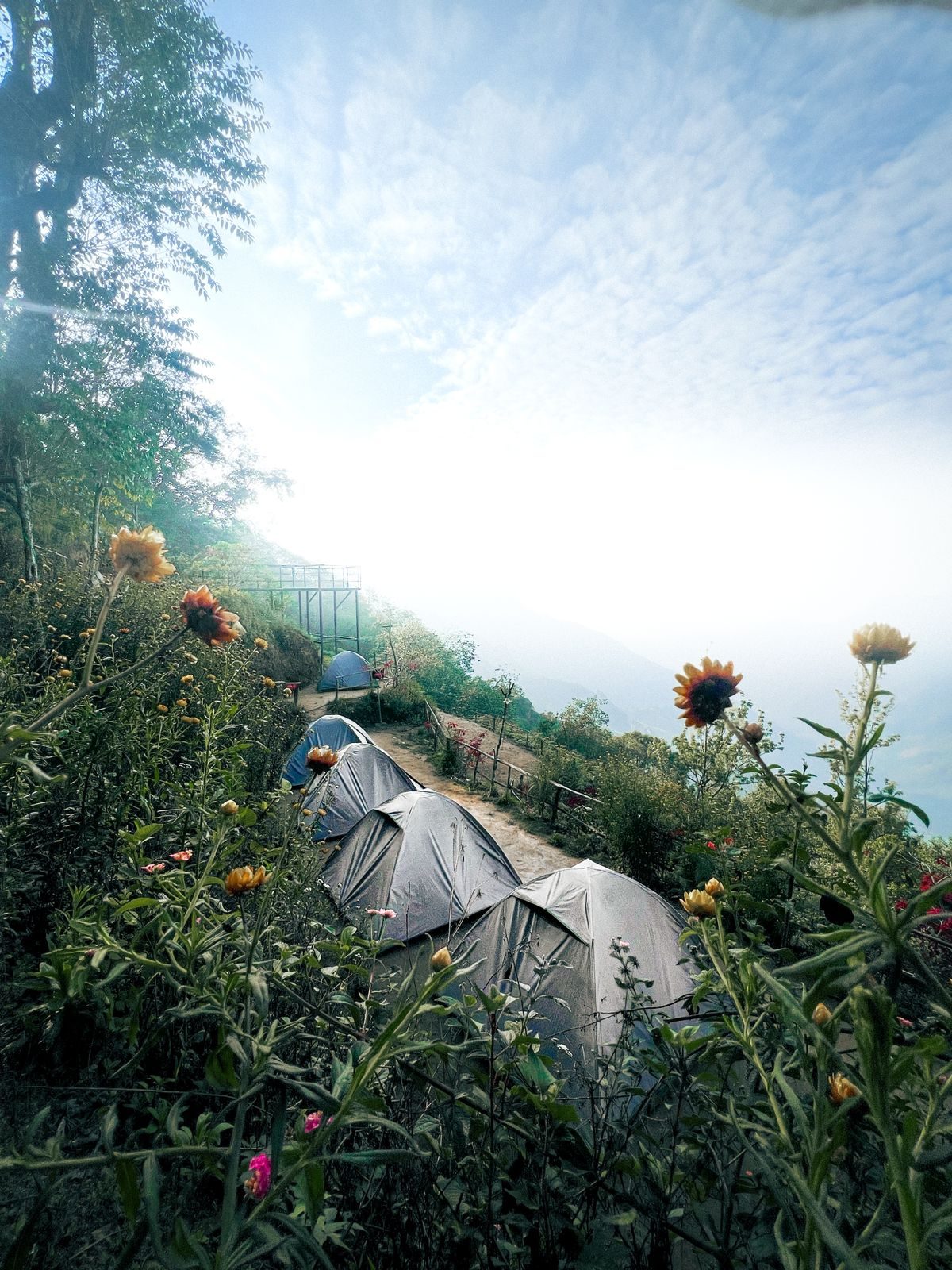 Tents pitched along the hillside at WONDERWEST Camp Ground