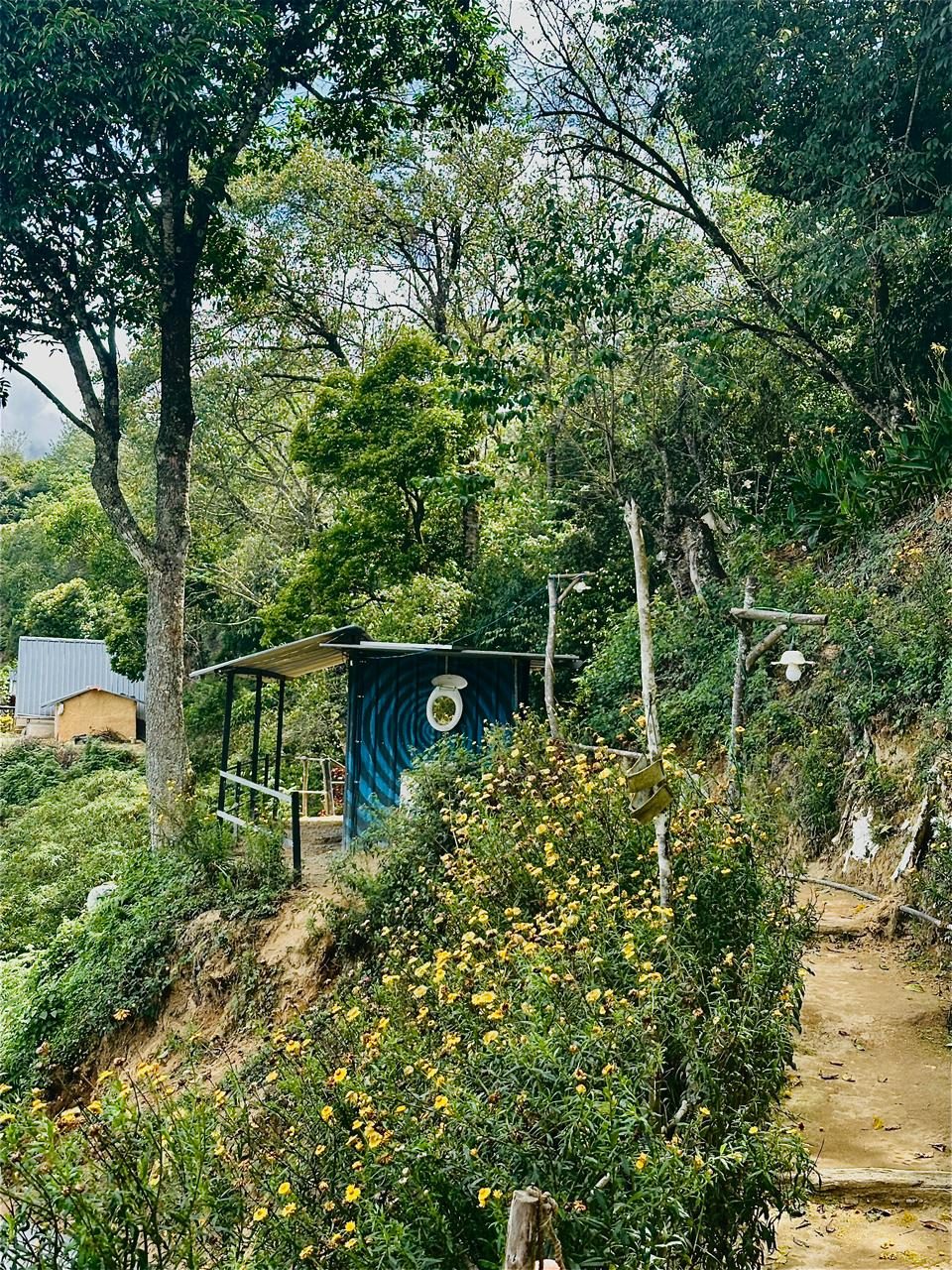 Path through flowering bushes to the camp washroom block